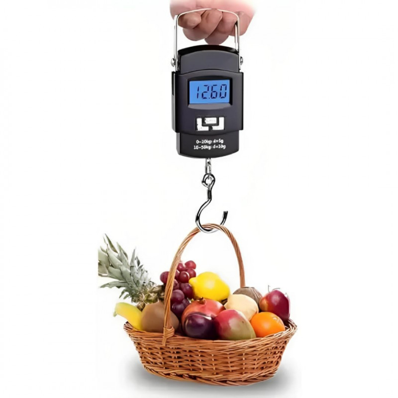 Portable Electronic Scale 50kg